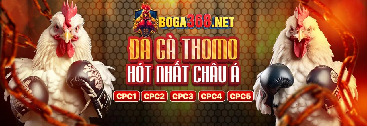 Đá gà trực tuyến tại i9999 đăng nhập